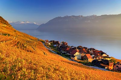 Magie de l'automne en Suisse (AR en train)