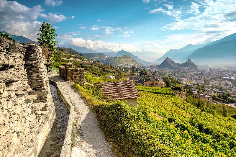 Vignoble de Sion - Canton du Valais - Suisse