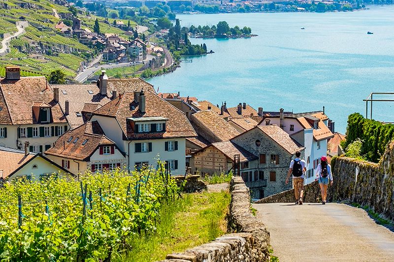 Randonnée en direction de Rivaz - Canton de Vaud - Suisse