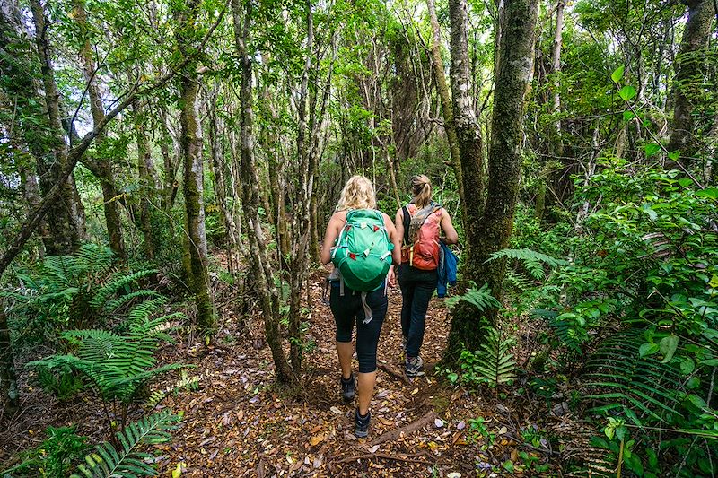 Randonnée au Parc national Chiloé - Région des Lacs - Chili