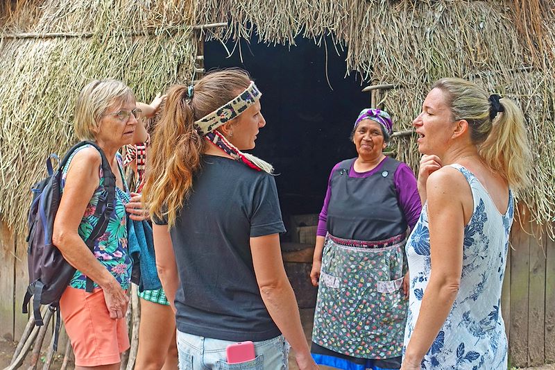 Immersion en territoire Mapuche - Chili