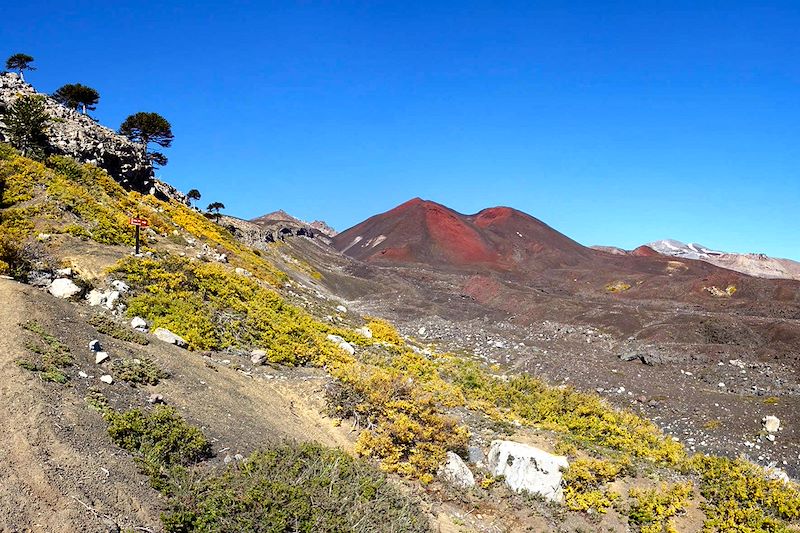 Paysage sur le route des volcans du Sollipulli au Villarica - Cordillère des Andes - Chili