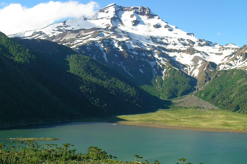Volcan Tolhuaca - Cordillère des Andes - Chili