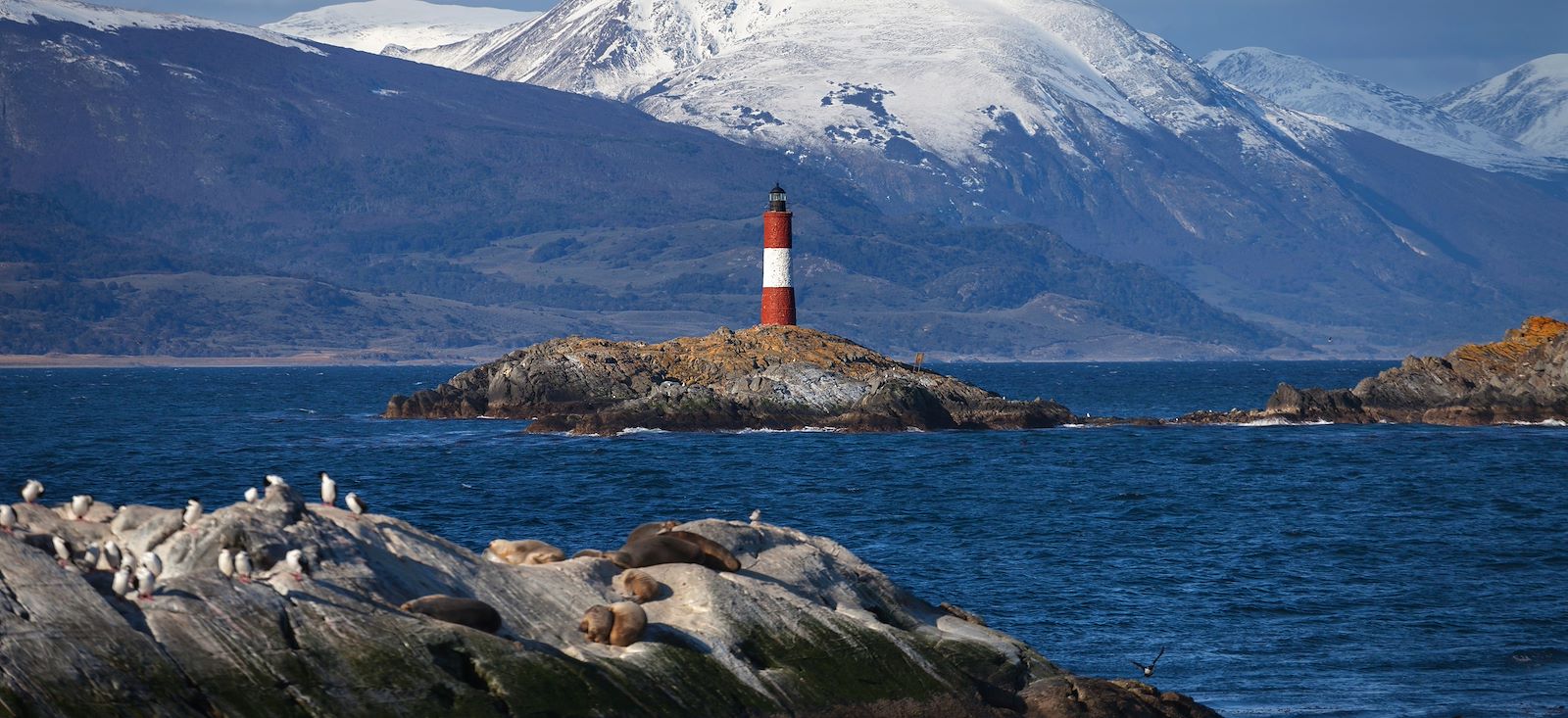 Image Le Grand Patagon