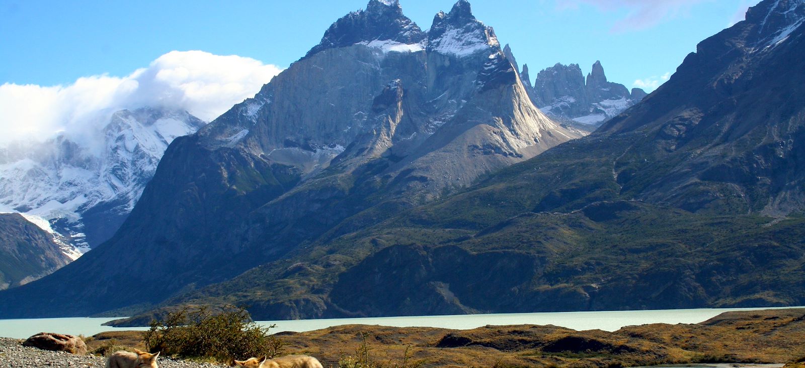 Image Le Grand Patagon