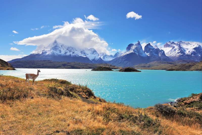 Un Voyage du Désert d’Atacama à la Patagonie. Paysages époustouflants, une faune typique et des rencontres inoubliables! 