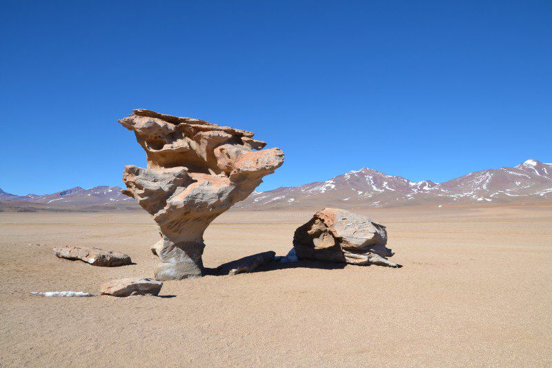 Arbol de Piedra - Chili