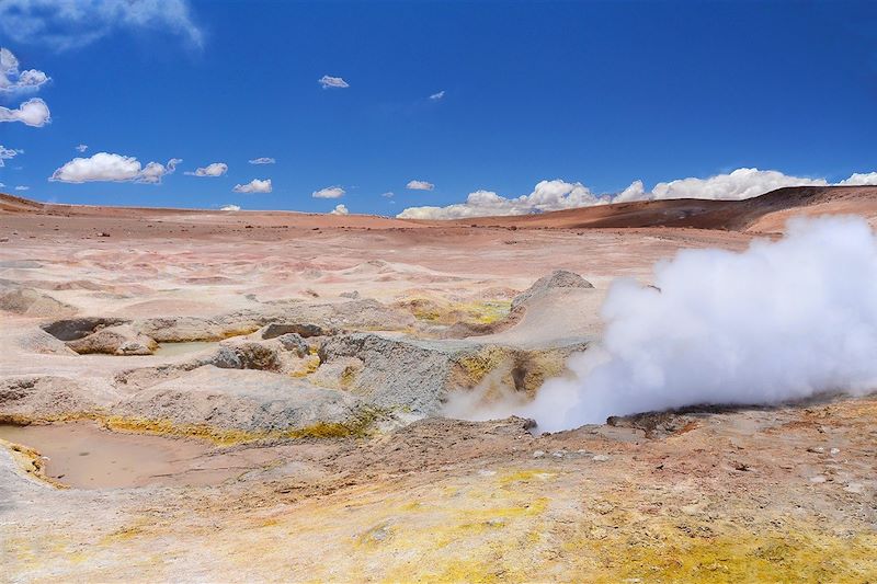 Fumerolle ou geyser dans le désert Sol de Manana - Sud Lipez - Potosi - Bolivie