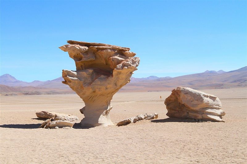 L'arbre de pierre dans le désert de Siloli - Potosi - Bolivie