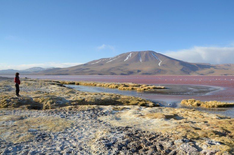 Laguna Colorada - Sud Lipez - Bolivie