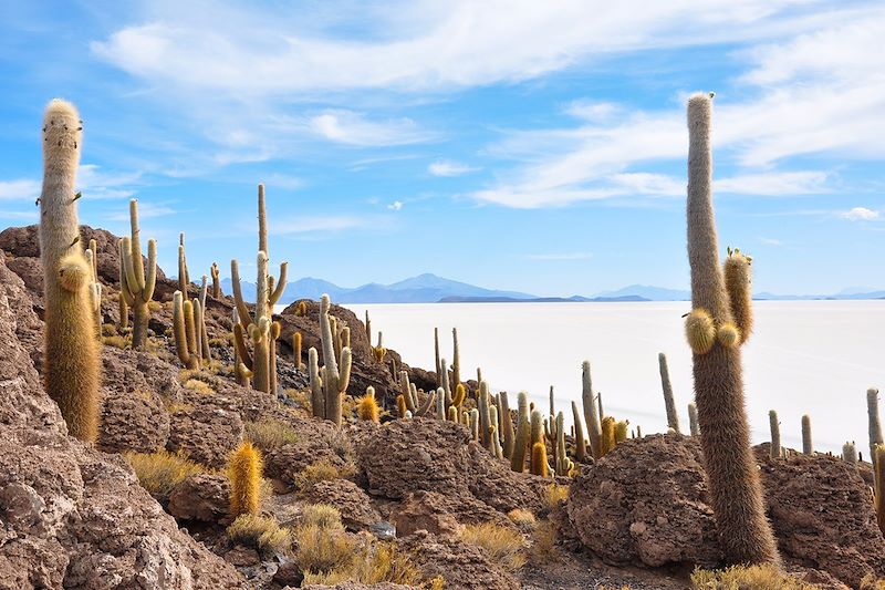 Salar d'Uyuni - Bolivie