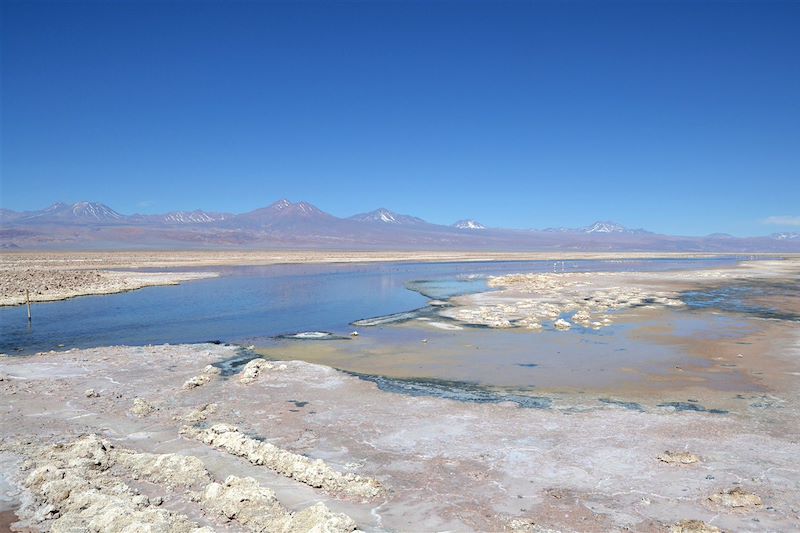 Désert d'Atacama & île de Pâques