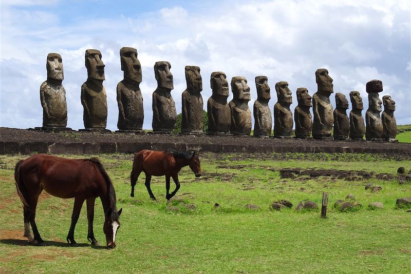 Chevaux sauvages et moaïs sur l'île de Pâques - Chili