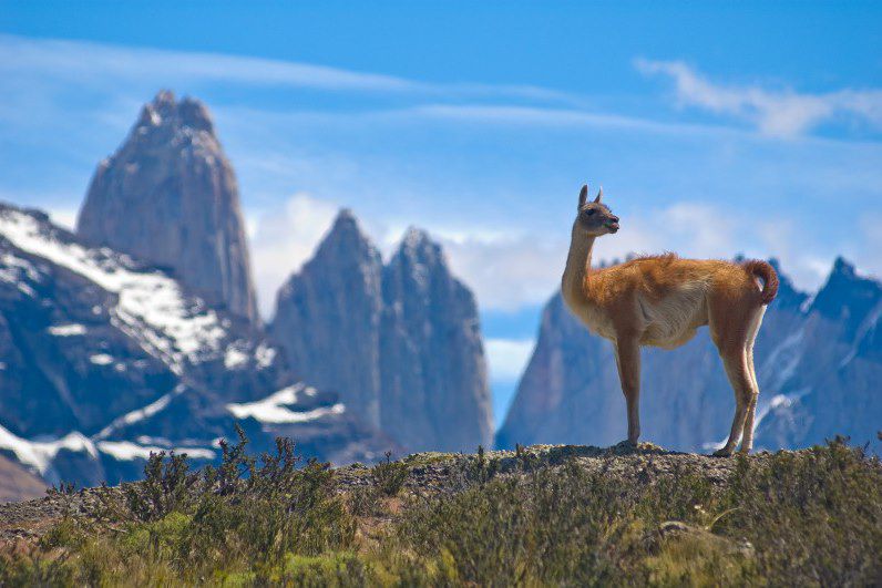 Torres del Paine - Patagonie - Chili