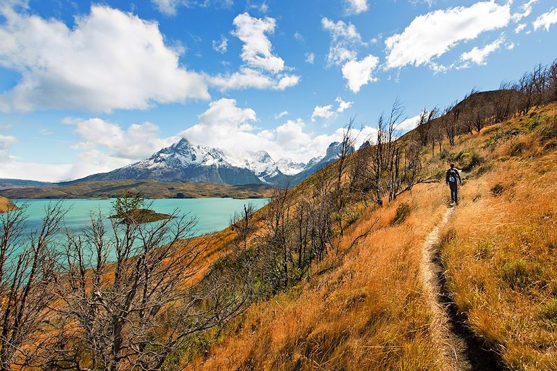 Randonnée près du Lac Pehoé - Torres del Paine - Chili