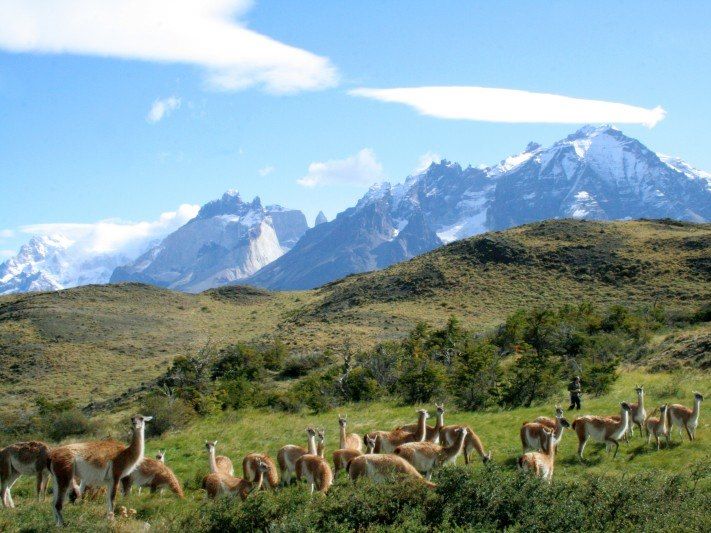 Parc Torres del Paine - Chili