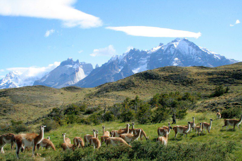 Parc Torres del Paine - Chili