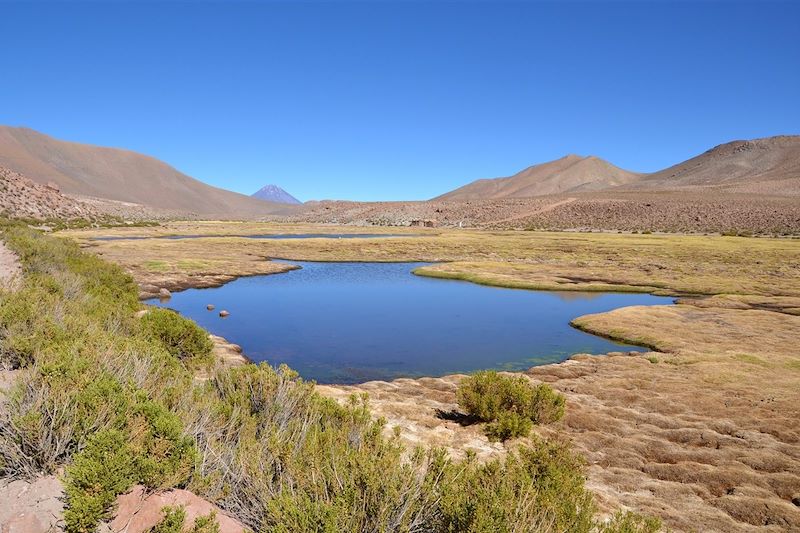 Le désert d'Atacama - Chili