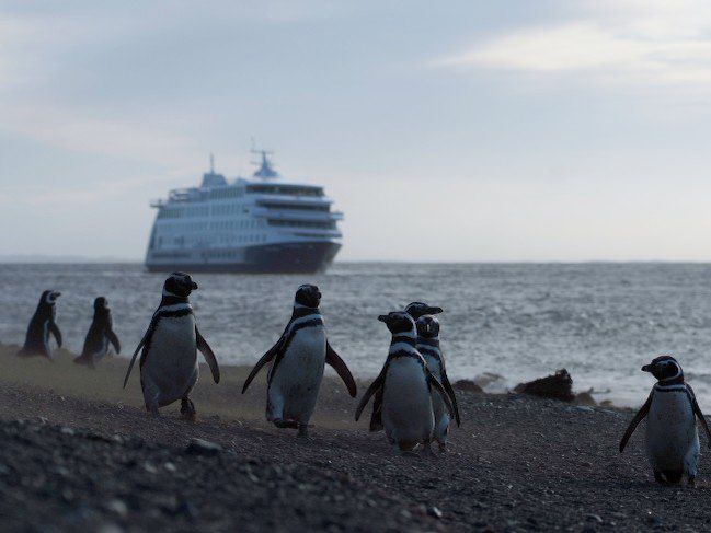 Croisière au Cap Horn