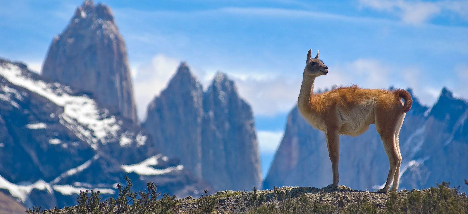 Image Exclusive Patagonie & le chant des baleines