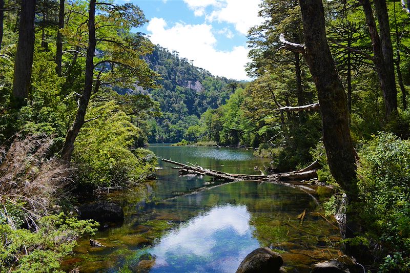 Région de Pucon - Chili