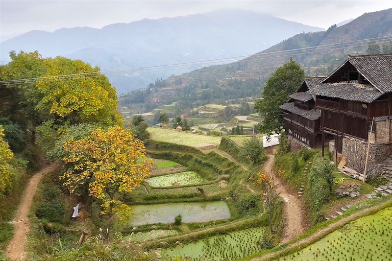 Zhaoxing - Chine