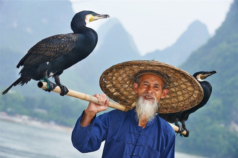 Pêcheur au cormoran  - Yangshuo - Chine