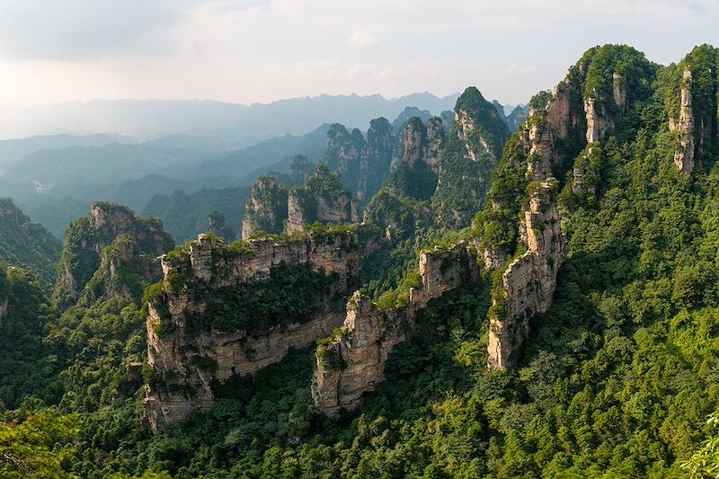 Parc national de Zhangjiajie - Province du Hunan - Chine