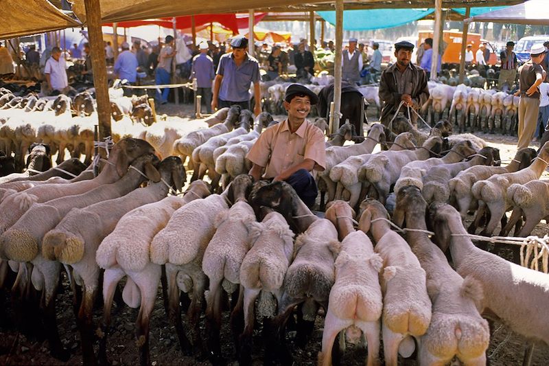 Marchand de moutons - Kashgar - Chine