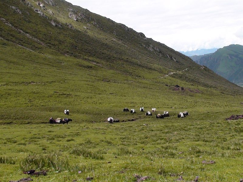 Lhassa - Tibet - Chine