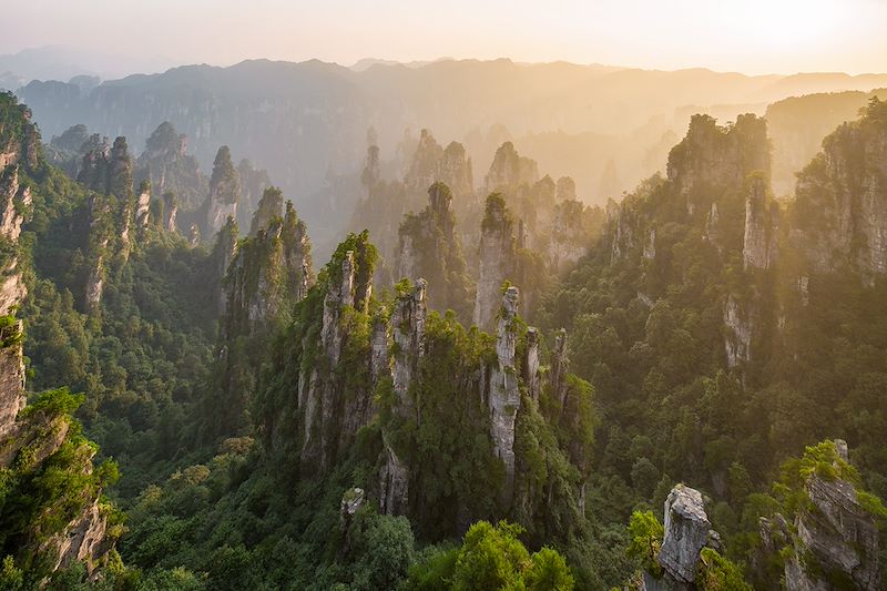Les monts Tianzi de Zhangjiajie - Hunan - Chine