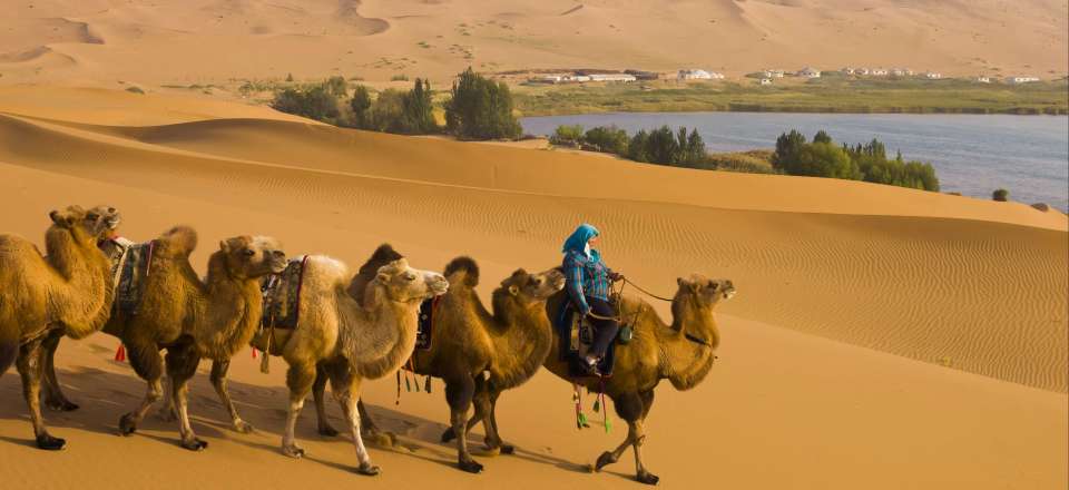 Trek inédit, dans le désert du Badain Jaran, mégadunes, oasis secrètes, monastère bouddhiste et chameaux de Bactriane.