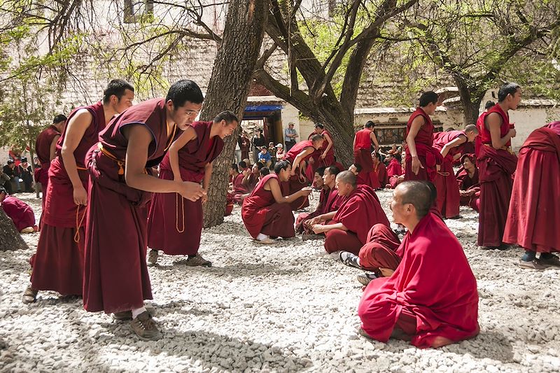 Débat tibétain au Monastère de Séra - Lhassa - Tibet