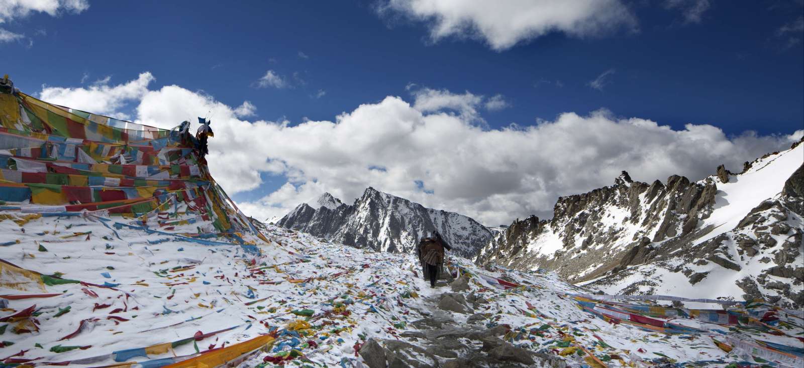 Trek - Kailash, la montagne magique !