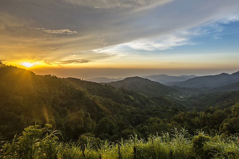 Minca - Santa Marta - Magdalena - Colombie