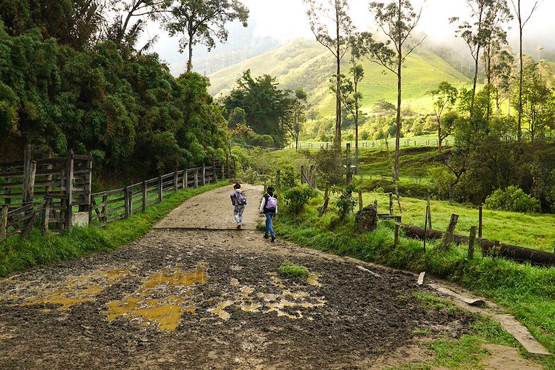 Parc national naturel de Los Nevados - Colombie