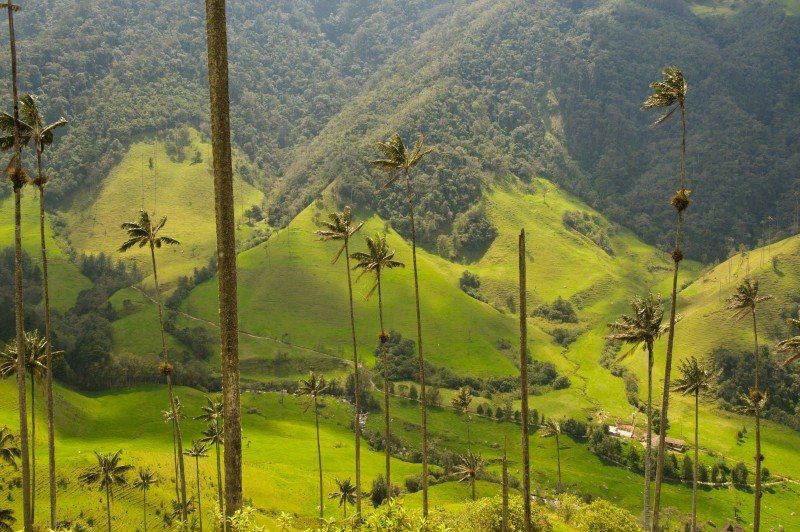 100% Colombia