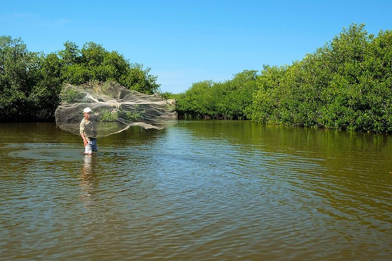 Mangrove de La Boquilla - Carthagène des Indes - Colombie