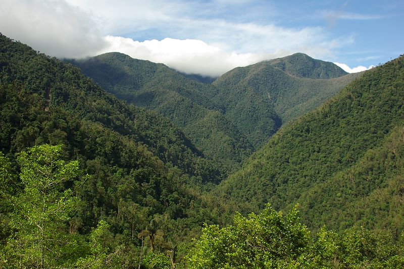 Randonnée vers la Cité Perdue - Colombie