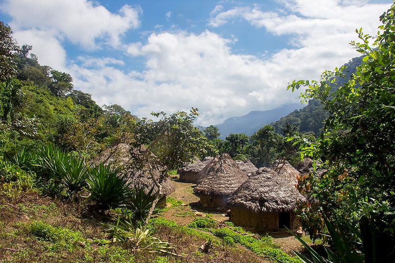 Les mystères de la Ciudad Perdida