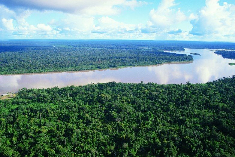 Immersion amazonienne et chaleur caribéenne