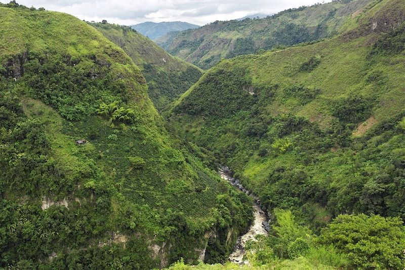 Canyon Rio Magdalena - San Agustin - Département de Huila - Colombie