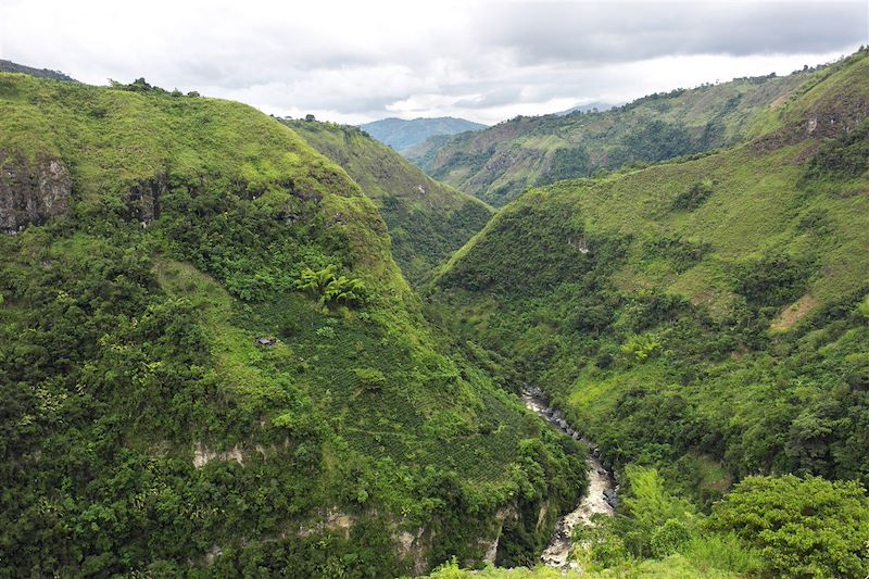 Canyon Rio Magdalena - San Agustin - Département de Huila - Colombie