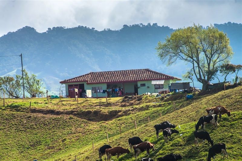 Colombia que linda! 