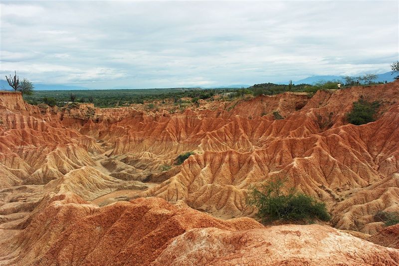 Trésors de la Colombie