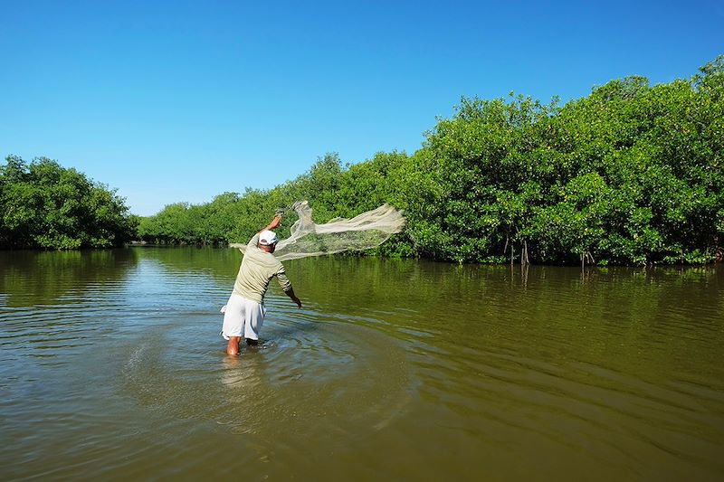 Mangrove de La Boquilla - Carthagène des Indes - Colombie