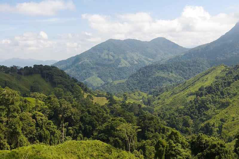 Randonnée vers la Cité Perdue - Colombie