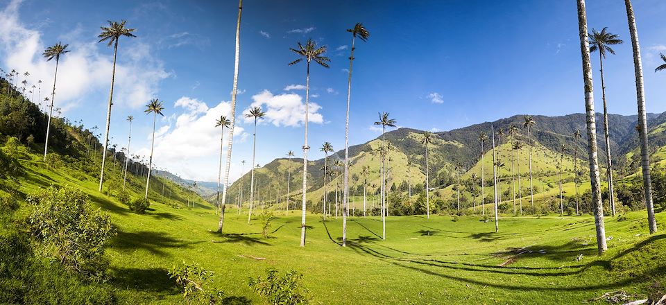Grand circuit en Colombie du parc de San Agustin à Tayrona, via les cités coloniales, la vallée de Cocora & la région du café