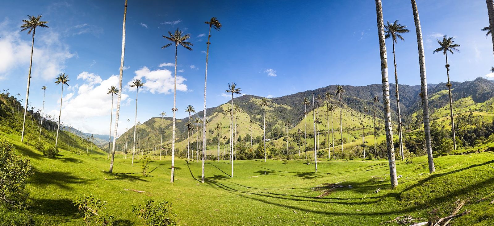 Image La Colombie sans concession