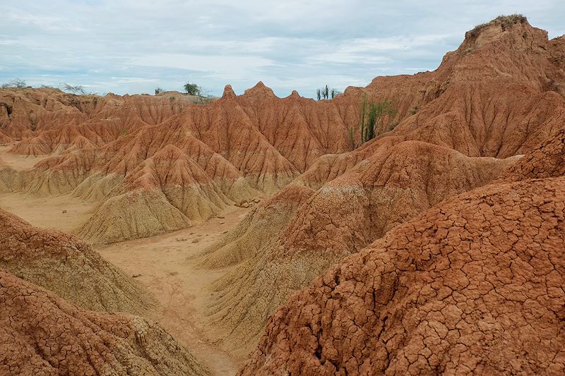 Désert de la Tatacoa - Huila - Colombie
